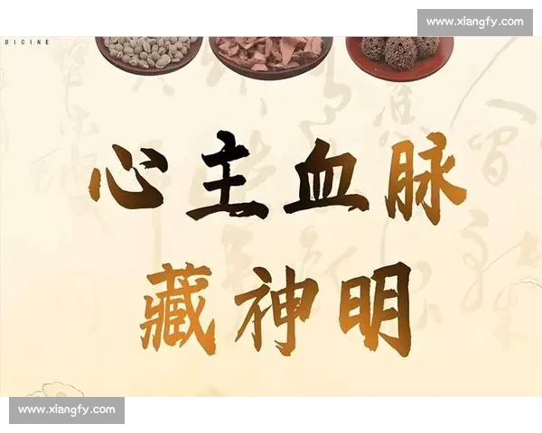 围绕以前腰为中心深入探索人体动力与平衡运行奥秘全景之旅篇章录 围绕以前腰为中心深入探索人体动力与平衡运行奥秘全景之旅篇章录