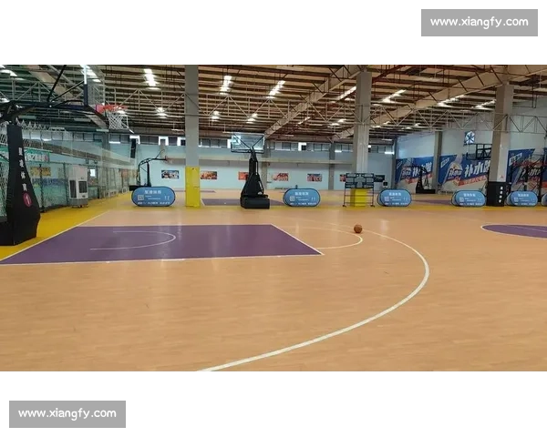 现代化球馆设施提升运动体验与观赛氛围全面解析 现代化球馆设施提升运动体验与观赛氛围全面解析